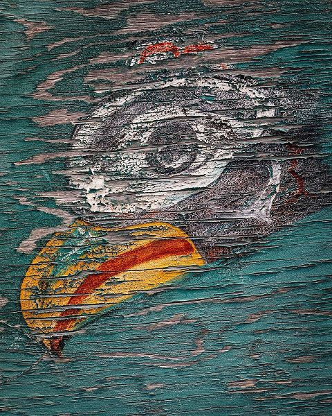 Alaska-Pelican Weathered painting of bird head